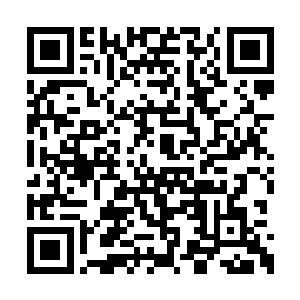 这岂非就是任何一种智慧生灵在发展到极致之后二维码生成