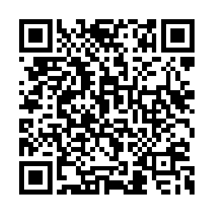 这巨大的高耸的内环就像一座深山中的特殊城市二维码生成