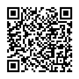 这已经成为琉璃天宫中人对于公主殿下的惯性印象二维码生成