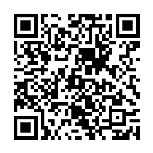 这已经超出了莲花生记忆信息对于青莲魔道的认知二维码生成