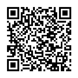 这布娃娃虽然依靠梦想成真之力突破了那天使的两重防御二维码生成