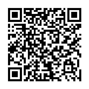 这帮子日本搞研究的木头脑袋几乎每两天都要这么来一趟二维码生成