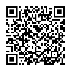 这帮狗日的不安抚家属还用版权黑了少主一百万二维码生成