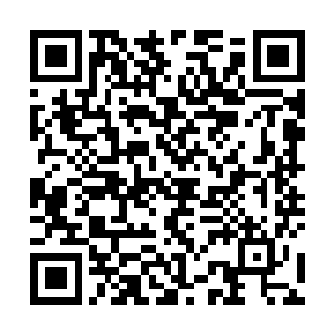 这幅字我今晚带回去好好揣摩体会一下其中的书法精髓二维码生成