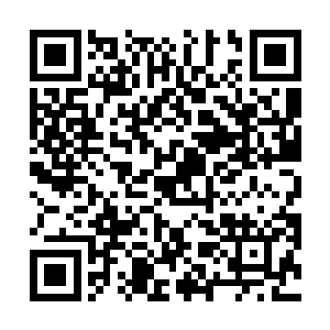 这幅画可谓是把目前文征明画作鉴定的理论都照顾到了二维码生成