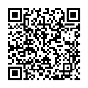 这幅画面像极了当初容云大师第一次出场救苏落的那副场景二维码生成