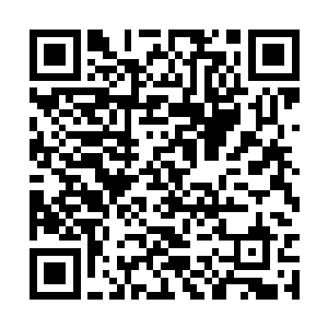 这平均下来每打一场就相当于有二十万左右的收入二维码生成