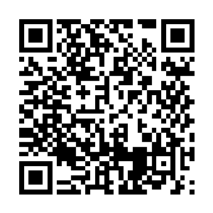 这年头嫁出去的闺女回娘家都不一定舍得买猪蹄呢二维码生成