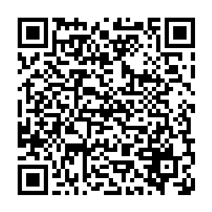 这年头果然蛇有蛇路鼠有鼠道一般官员或许顾忌体面不屑干这种狗屁倒灶的事二维码生成