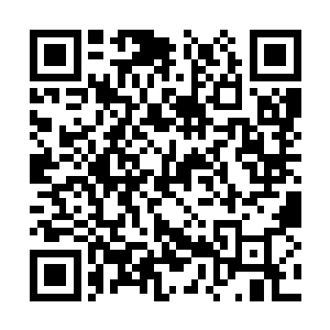 这年头碰瓷的人最喜欢的就是这种有钱又怕事的人二维码生成