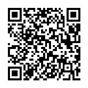 这年头秘书的命运很大程度的与服务对象为一体二维码生成