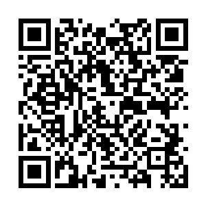 这并不妨碍林烽已经掌握了萧霓裳的这个致命弱点二维码生成