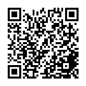 这并不是说楚暮现在可以对抗涅槃九重天修炼者二维码生成