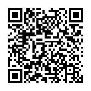 这并非是他背后有一位虚王境强者作为师傅的缘故二维码生成