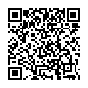 这幻化的一方结界无时无刻都在剧烈的摇晃当中二维码生成