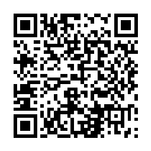 这幽冥神树光是树干树冠就占据了铁狱岛的三分之一二维码生成