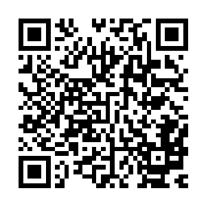 这应该是受到弑杀意识的干扰而突然间对同伴进行袭杀所致……二维码生成
