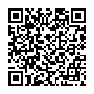 这应该是圣君专门为那些傀儡所研制出来的特殊浆液二维码生成