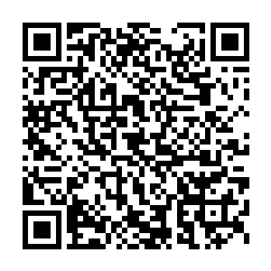 这应该是当初绞杀的那数十万混沌兽产生的混沌之气转化成了天地元力二维码生成
