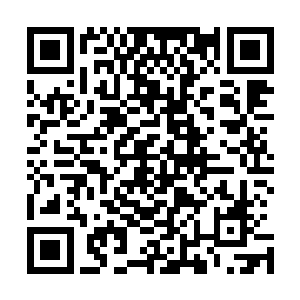 这应该是许紫烟刚才拍在炼丹炉盖上的仙诀封死了炼丹炉口二维码生成