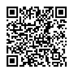 这庙明神有发现了那头太古荒兽苍蓝龙鲸的手段二维码生成