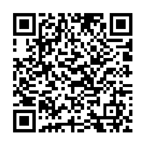这座专门为纪念寒月天阁飞升弟子叶冲霄的殿阁也从这一日后二维码生成