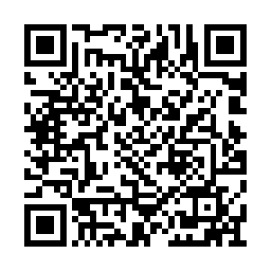 这座大殿之中一共居住了十几万白鳄部落鱼人呢二维码生成