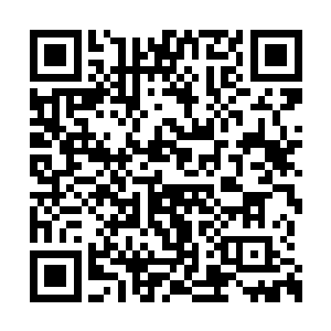 这座大殿之中的传承台比起武道之人要少太多了二维码生成