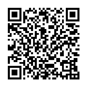 这建木所化的玉如意不仅没有随着时间的流逝而失去生机二维码生成