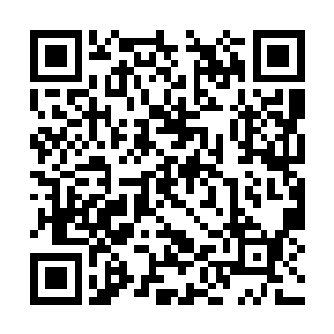 这张专辑无疑是玛丽亚出道以来最成功的一张专辑二维码生成