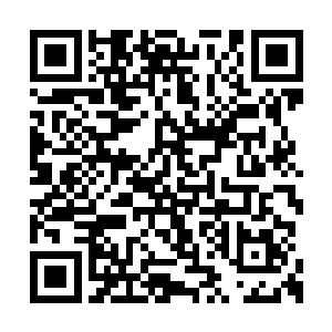 这张地图便是本次试炼盛会世子们活动的范围图二维码生成