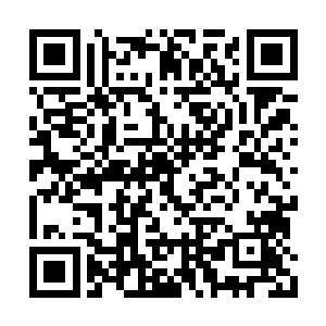 这张熟悉的脸曾经无数次出现在丁二狗的记忆里二维码生成