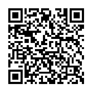 这张脸对于东皇大陆很多家族子弟来说并不陌生二维码生成