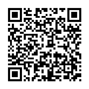 这强大的力量根本就不是凤火舞现在能够掌控的二维码生成