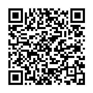 这当中的分别和关系仿佛蜘蛛网一样拉扯着她的心灵二维码生成