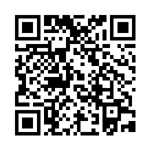 这影魔只是依据先前在迦楼城内收集的资料二维码生成