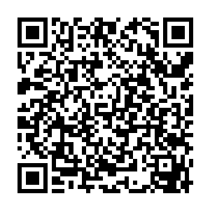 这很容易让苗毅联想到自己从凤巢带来并扔进了龙焰池的两颗石头蛋二维码生成