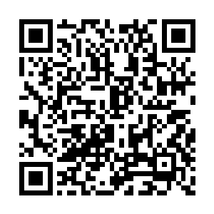 这很有可能成为这个斑鬣狗群被灭族可怕的一天二维码生成