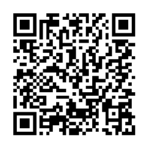 这得经过实战或者组织一两次训练才能看出来了二维码生成