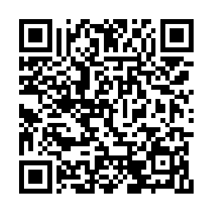 这心魔却仅仅只凭借两根手指便挡住了他的攻击二维码生成