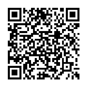 这忽然就拥有尊者巅峰的楚氏天族族长不谈的话二维码生成