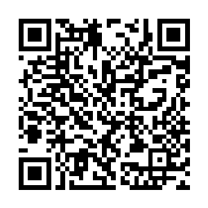 这忽然蹦出来的天道境巫族其实不止是我吃了一惊二维码生成