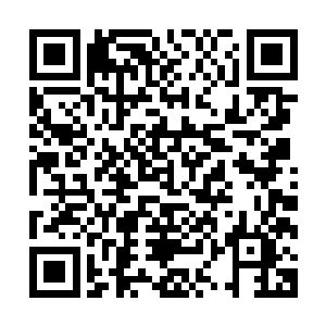 这怎么可能――――道魂界怎么可能有人拥有完整的本源之力二维码生成