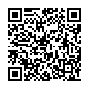 这怎么感觉又回到一年前刚认识林若溪的时候了二维码生成