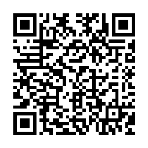 这怎么看都有点像是戡乱会决策层对大部分东躲西藏修士的惩罚二维码生成