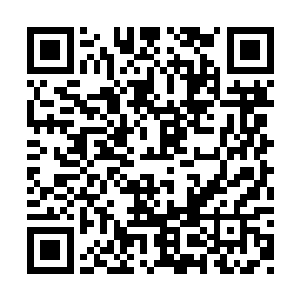 这怕也是曾毅能肯定其在正德皇帝心中的定位了二维码生成