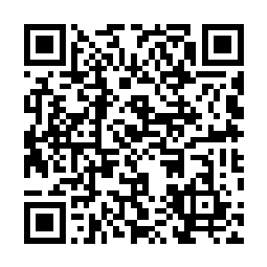 这怕也正是群英会突然迫不及待亲自对他苗毅出手的原因二维码生成
