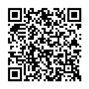 这怪物跟昨天所看见的模样已经有了明显的不同二维码生成