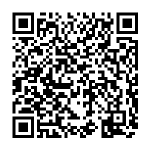 这总是让秦方有种不太对劲的感觉……可是小地图上却没有显示出来什么异常二维码生成