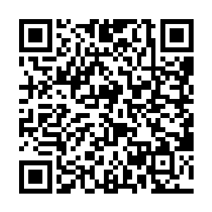 这恍惚之间是今晚红地毯开始之后最为热闹的时刻了二维码生成
